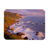 Redwood Coast, Kalifornien Magnet (Horizontal)