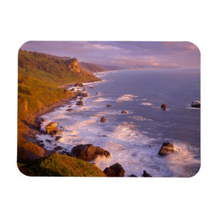 Redwood Coast, Kalifornien Magnet