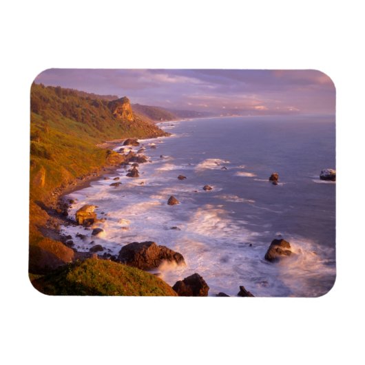 Redwood Coast, Kalifornien Magnet (Horizontal)