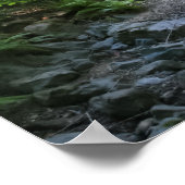 "Redwood Creek", Muir Woods Poster (Ecke)