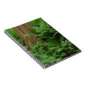 Redwood & Ferns Notebook Notizblock (Rechte Seite)