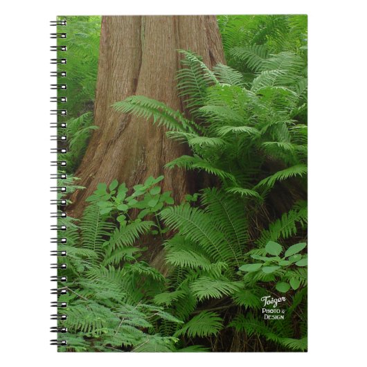 Redwood & Ferns Notebook Notizblock (Vorderseite)
