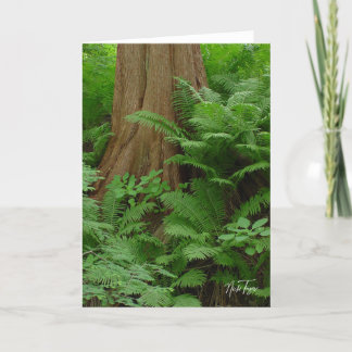 Redwood & Ferns notecard Dankeskarte