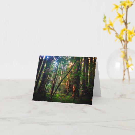 Redwood Forest Card Karte (Gelbe Blume)