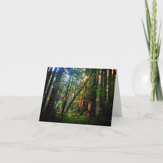 Redwood Forest Card Karte (Vorderseite)