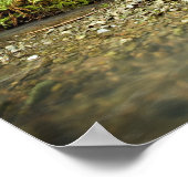 Redwood Forest Glen Poster (Ecke)