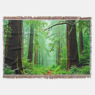 Redwood Forest Mistle Tranquility Design Decke