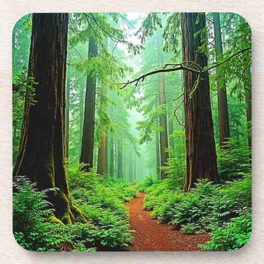 Redwood Forest Mistle Tranquility Design Getränkeuntersetzer (Vorderseite)
