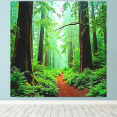 Redwood Forest Mistle Tranquility Design Leinwanddruck (Insitu (Holzboden))