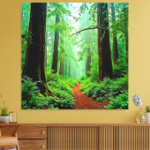 Redwood Forest Mistle Tranquility Design Leinwanddruck (Insitu (Wohnzimmer))