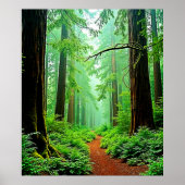 Redwood Forest Mistle Tranquility Design Poster (Vorne)
