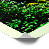 Redwood Forest Mistle Tranquility Design Poster (Ecke)