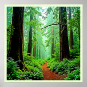 Redwood Forest Mistle Tranquility Design Poster (Vorne)