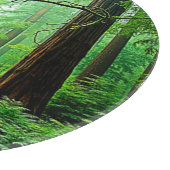 Redwood Forest Mistle Tranquility Design Schneidebrett (Ecke)