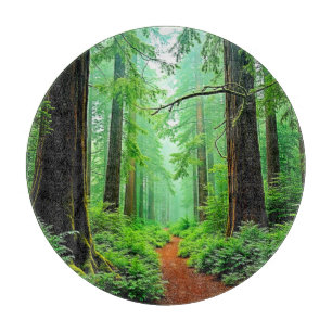 Redwood Forest Mistle Tranquility Design Schneidebrett