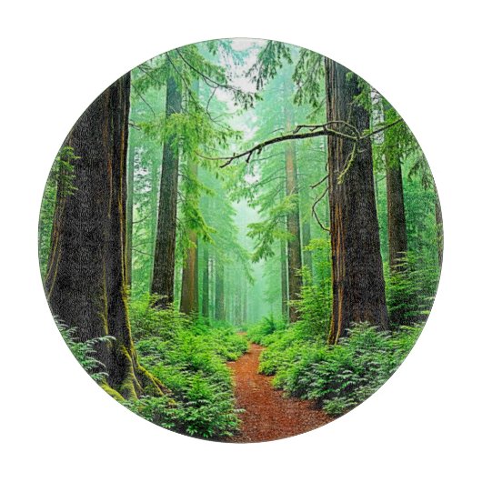 Redwood Forest Mistle Tranquility Design Schneidebrett (Vorderseite)