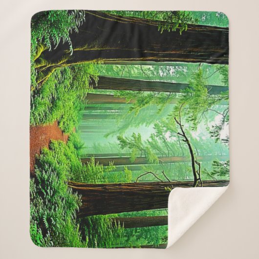 Redwood Forest Mistle Tranquility Design Sherpadecke (Vorderseite)