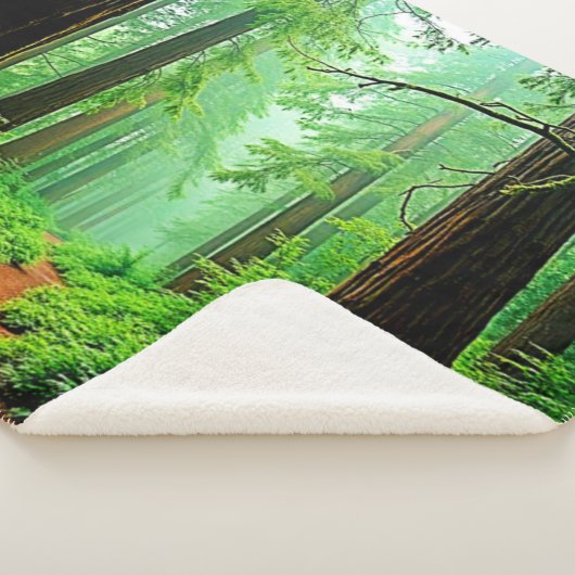 Redwood Forest Mistle Tranquility Design Sherpadecke (3/4)