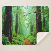 Redwood Forest Mistle Tranquility Design Sherpadecke (Vorderseite (Horizontal))