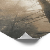 Redwood Forest, Nordkalifornien Poster (Ecke)