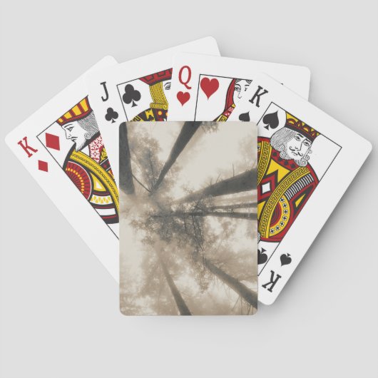 Redwood Forest, Nordkalifornien Spielkarten (Rückseite)