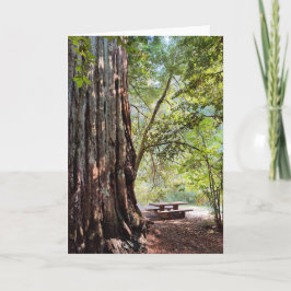 Redwood Forest Note Card Dankeskarte