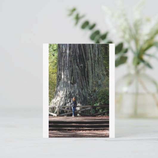 Redwood Forest Postkarte (Stehend Vorderseite)