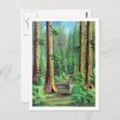 Redwood Forest Postkarte (Vorne/Hinten)