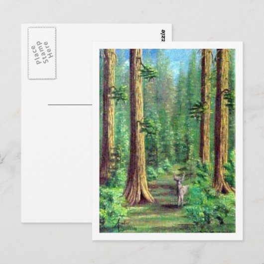Redwood Forest Postkarte (Vorne/Hinten)