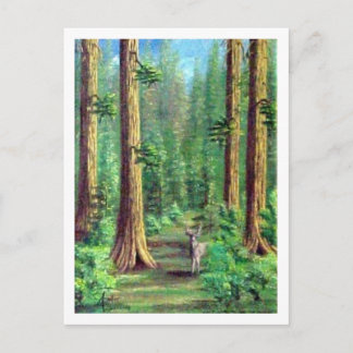 Redwood Forest Postkarte