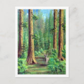 Redwood Forest Postkarte (Vorderseite)