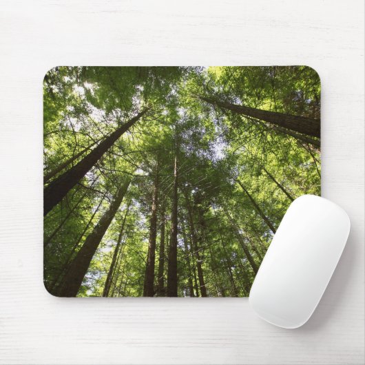Redwood Forest, Rotorua, Neuseeland 2 Mousepad (Mit Mouse)