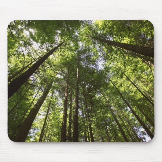 Redwood Forest, Rotorua, Neuseeland 2 Mousepad (Vorne)