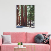 Redwood Forest Sequoia Tree Wall Art Leinwanddruck (Insitu (Wohnzimmer))
