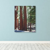 Redwood Forest Sequoia Tree Wall Art Leinwanddruck (Insitu (Holzboden))