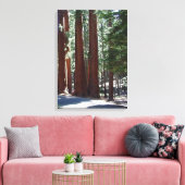 Redwood Forest Sequoia Tree Wall Art Leinwanddruck (Insitu (Wohnzimmer))