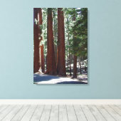 Redwood Forest Sequoia Tree Wall Art Leinwanddruck (Insitu (Holzboden))