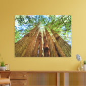 Redwood Grove Leinwanddruck (Insitu (Wohnzimmer))