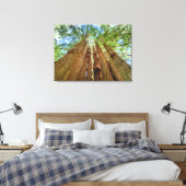 Redwood Grove Leinwanddruck (Insitu (Schlafzimmer))