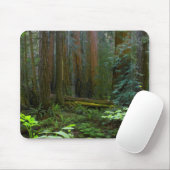 Redwood in Muir Woods National Park Mousepad (Mit Mouse)