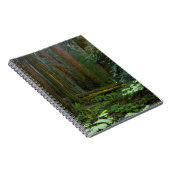 Redwood in Muir Woods National Park Notizblock (Rechte Seite)