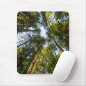Redwood National and Staat Parks, Kalifornien Mousepad (Mit Mouse)