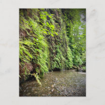 Redwood National and Staat Parks, Kalifornien