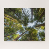 Redwood National and Staat Parks, Kalifornien Puzzle (Horizontal)