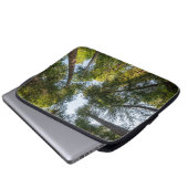 Redwood National and State Parks, California Laptopschutzhülle (Vorne Knopf)
