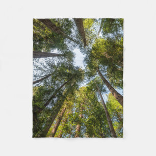 Redwood National and State Parks, Kalifornien Fleecedecke