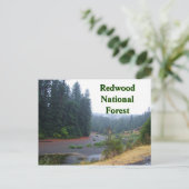 Redwood National Forest Postkarte (Stehend Vorderseite)