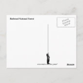 Redwood National Forest Postkarte (Rückseite)