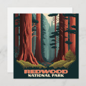 Redwood National Park (Vorne/Hinten)