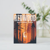 Redwood National Park, CA Postcard Postkarte (Stehend Vorderseite)